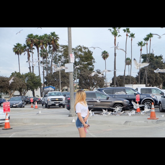 Meet your Posher, Bee - Picture 1 of 1